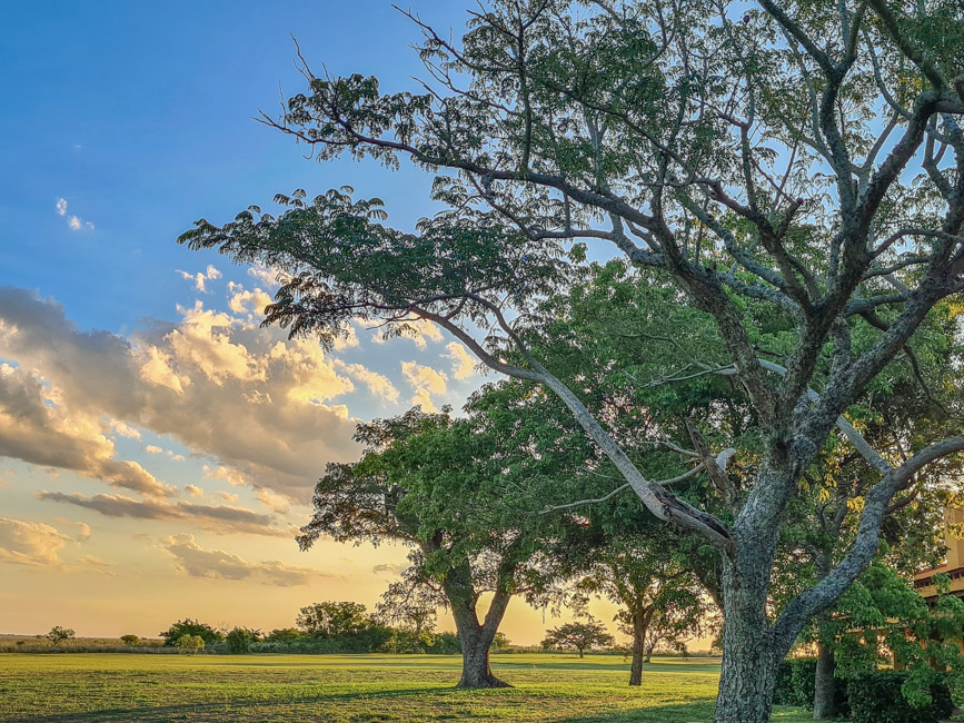 esteros-ibera-corrientes