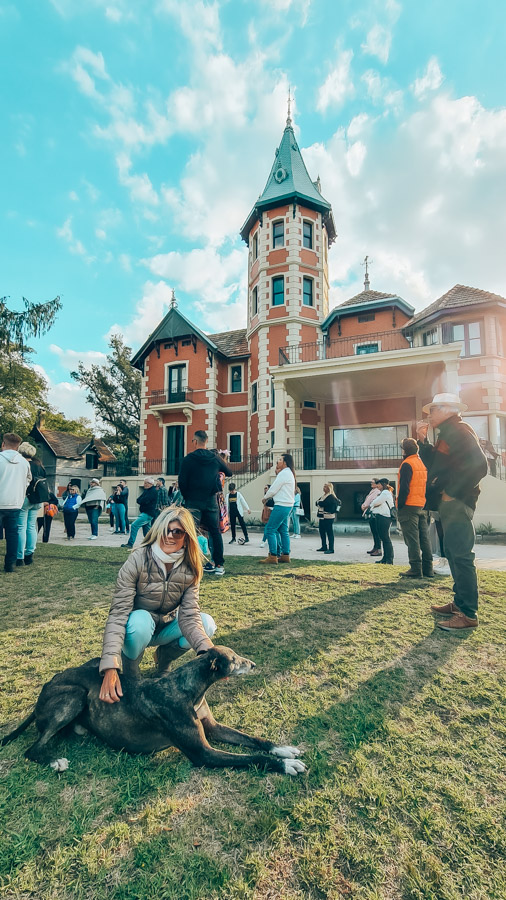 campo-mascotas-buenos-aires