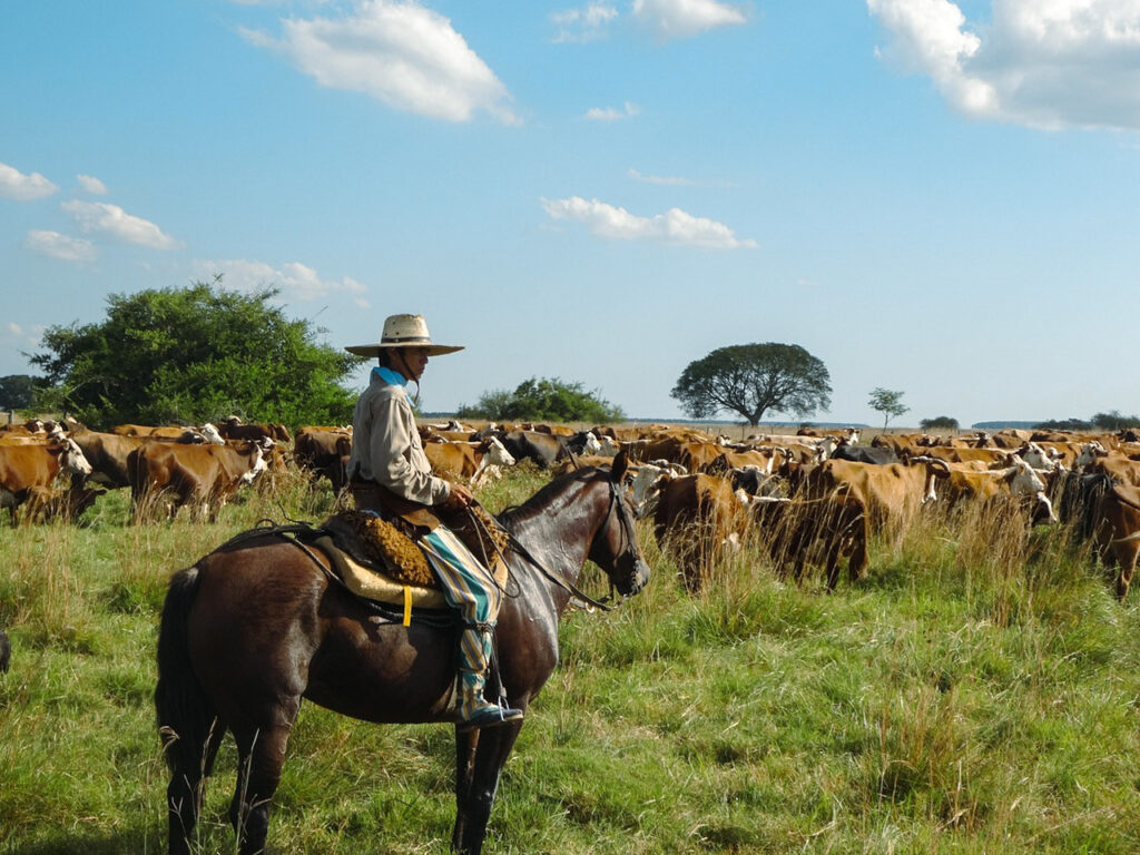 gaucho-argentino-tradiciones