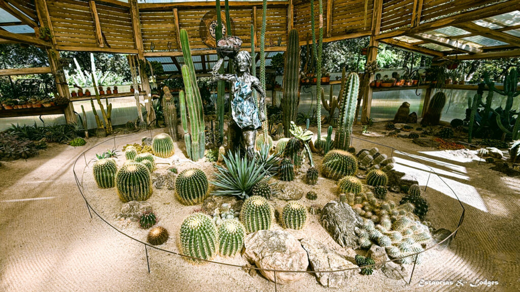 Cactario del jardín botánico de Aráoz de Lamadrid en Traslasierra